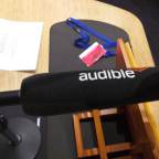 Criminal Leanings #8: Recording Crime